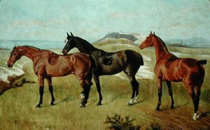 Tři koně: Whissendine, Swallow a Tiptop od George Paice