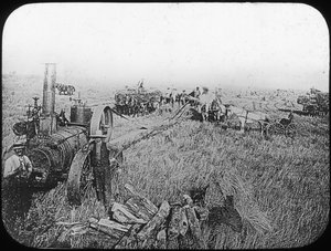 Scéna sklizně na severoamerických prériích, konec 19. nebo začátek 20. století