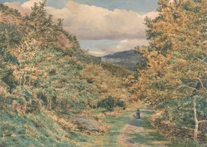 Cesta poblíž Bettws-y-Coed od George Price Boyce