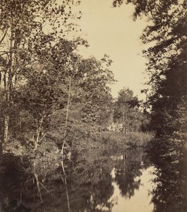 The Dell,1863 (foto) od George Rockwood Gardner