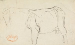 Studie krávy od George Romney