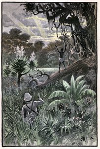 Ilustrace George Rouxe ke knize Julese Verna "Letecká vesnice" (1901), edice Hetzel/Extraordinary Voyages, Known and Unknown Worlds. Pohled na africký les (Kongo). od George Roux