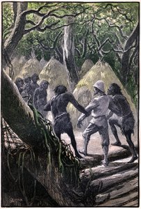 Ilustrace George Rouxe ke knize Julese Verna "Letecká vesnice" (1901), edice Hetzel/Extraordinary Voyages, Known and Unknown Worlds. Příjezd objevitelů do vesnice posazené na stromech Wagddisů (opic konžského pralesa). od George Roux