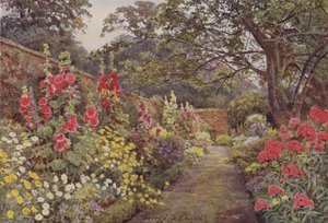 Blyborough, Hollyhocks