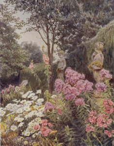 Phlox a Daisy od George Samuel Elgood
