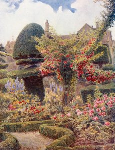 Růžová zahrada u Levens Hall, Westmoreland (barevná litografie)