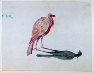 Pták, 1820-1876 od George Sand