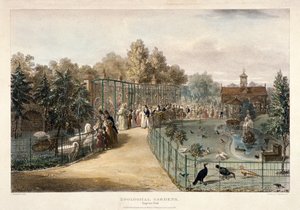 Zoologická zahrada, Regent