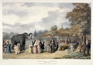 Zoologická zahrada, Regent