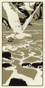 Z pláže přiletěl velký bílý mořský racek (barva litho) od George Sheringham