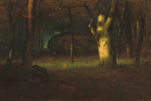 Západ slunce v lese, 1891 od George Snr. Inness