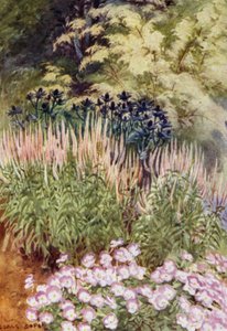 Veronica spicata rosea, s Eryngium a violami (barva lito) od George Soper