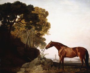 Arab Bay v pobřežní krajině, 1779 od George Stubbs