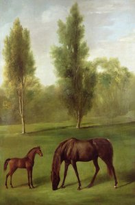 Kaštanová klisna a hříbě v zalesněné krajině, kolem 1761-63 (olej na plátně) od George Stubbs