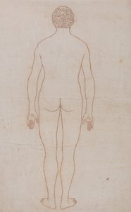 Srovnávací anatomický výklad stavby lidského těla s tělem tygra a běžné drůbeže: (nákres k tabulce VII): Lidské tělo, pohled zezadu (nákres k tabulce VII) od George Stubbs