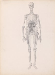 Srovnávací anatomický výklad stavby lidského těla s tělem tygra a běžné drůbeže:  (Dokončená studie závěrečné fáze pitvy) od George Stubbs