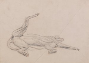 Srovnávací anatomický výklad stavby lidského těla s tělem tygra a běžné drůbeže: Tygr, ležící, při pohledu zvenčí od George Stubbs