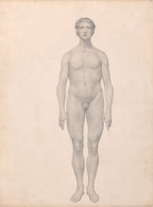Srovnávací anatomický výklad stavby lidského těla s tělem tygra a běžné drůbeže:  (Dokončená studie k tabulce VI) od George Stubbs