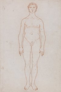 Srovnávací anatomický výklad stavby lidského těla s tělem tygra a běžné drůbeže: (nákres k tabulce VI) od George Stubbs