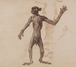 Srovnávací anatomický výklad stavby lidského těla s tělem tygra a běžné drůbeže:  Opice ve stoje, pohled zepředu od George Stubbs