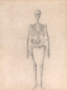 Srovnávací anatomický výklad stavby lidského těla s tělem tygra a běžné drůbeže: (Dokončená studie k tabulce I) od George Stubbs