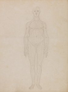 Srovnávací anatomický výklad stavby lidského těla s tělem tygra a běžné drůbeže: (Pravděpodobně souvisí s tabulkou XI) od George Stubbs
