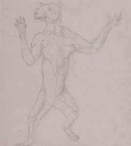 Srovnávací anatomický výklad stavby lidského těla s tělem tygra a běžné drůbeže:  Tělo tygra, stojícího v lidském postoji od George Stubbs