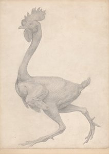 Srovnávací anatomický výklad stavby lidského těla s tělem tygra a běžné drůbeže: (Dokončená studie k tabulce X) od George Stubbs