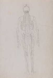 Srovnávací anatomický výklad stavby lidského těla s tělem tygra a běžné drůbeže: (Náčrt klíčové postavy zobrazující závěrečnou fázi pitvy) od George Stubbs
