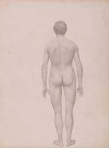 Srovnávací anatomický výklad stavby lidského těla s tělem tygra a běžné drůbeže: (Dokončená studie k tabulce VII) od George Stubbs
