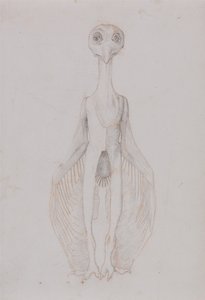 Srovnávací anatomický výklad stavby lidského těla s tělem tygra a běžné drůbeže:  Stojící sova, pohled zepředu od George Stubbs