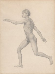 Srovnávací anatomický výklad stavby lidského těla s tělem tygra a běžné drůbeže: (Dokončená studie k tabulce VIII) od George Stubbs