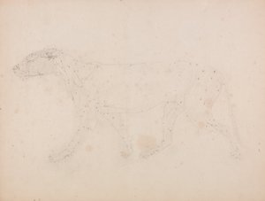 Srovnávací anatomický výklad stavby lidského těla s tělem tygra a běžné drůbeže: (Studie svalů pro klíčový obrázek k tabulce IX) od George Stubbs