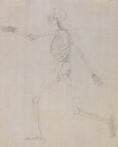 Srovnávací anatomický výklad stavby lidského těla s tělem tygra a běžné drůbeže: (Náčrt kostry pro klíčový obrázek k tabulce III) od George Stubbs