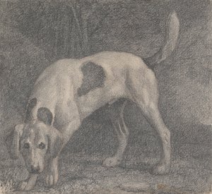 Foxhound on the Scent od George Stubbs