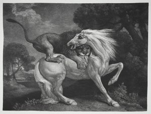 Kůň napaden lvem od George Stubbs