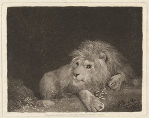 Lev [Ležící lev] od George Stubbs