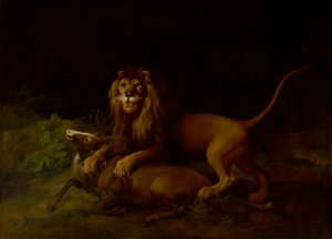Lev útočí na jelena, mezi 1765 a 1766. od George Stubbs