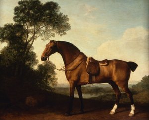 Osedlaný lovec ze zátoky od George Stubbs