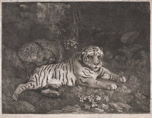 Tygr a spící leopard od George Stubbs