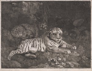 Tygr a spící leopard od George Stubbs