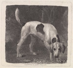 Pes (Foxhound on the Scent) rytý umělcem, hospoda. 1788 od George Stubbs
