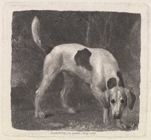 Pes [Foxhound on the Scent] od George Stubbs