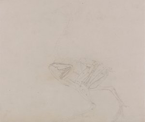 Dorking Hen Body, Lateral View (Studie svalů těla a končetin v pozdější fázi pitvy) od George Stubbs