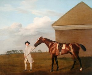 Ohnivák s trenérem u Rubbing-Down House na Newmarket Heath od George Stubbs