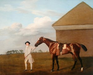 Ohnivák s trenérem u Rubbing-Down House na Newmarket Heath. V roce 1774 byl majetkem Thomase Foleyho, Esquire[2]. od George Stubbs