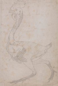 Tělo drůbeže, boční pohled (pravděpodobně připraveno pro přenos na desku pro vyrytí klíčové figury do tabulky X) od George Stubbs