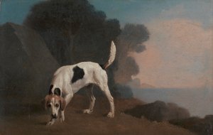 Foxhound od George Stubbs