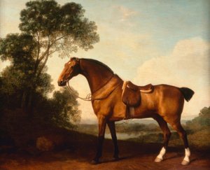 G. Stubbs, Lovec osedlaného zálivu od George Stubbs