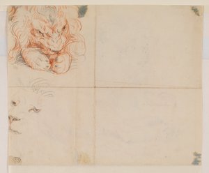 Hlava a tlapy lva, verso, 18. nebo 19. století od George Stubbs